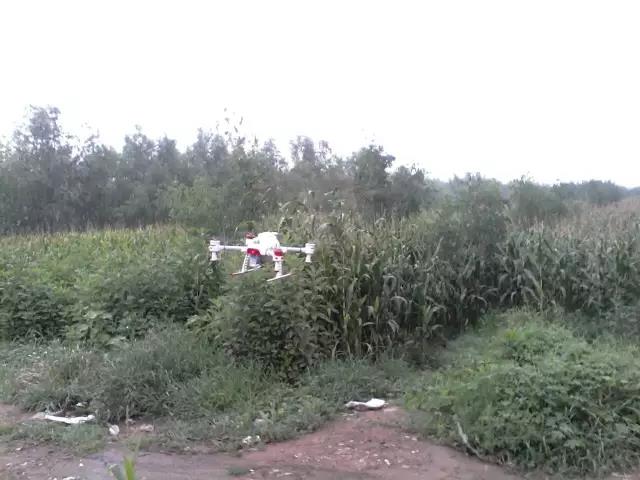 山西祁县西六支王村使用无人机喷洒农药现场